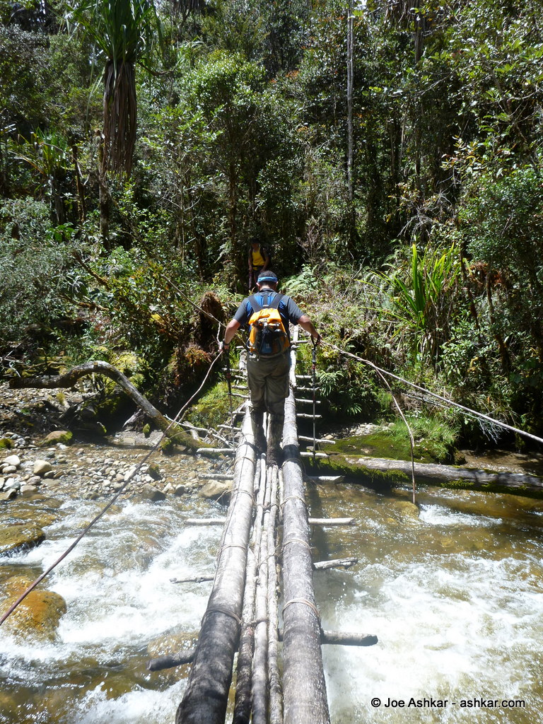Crossing one of many slippery log bridges.
