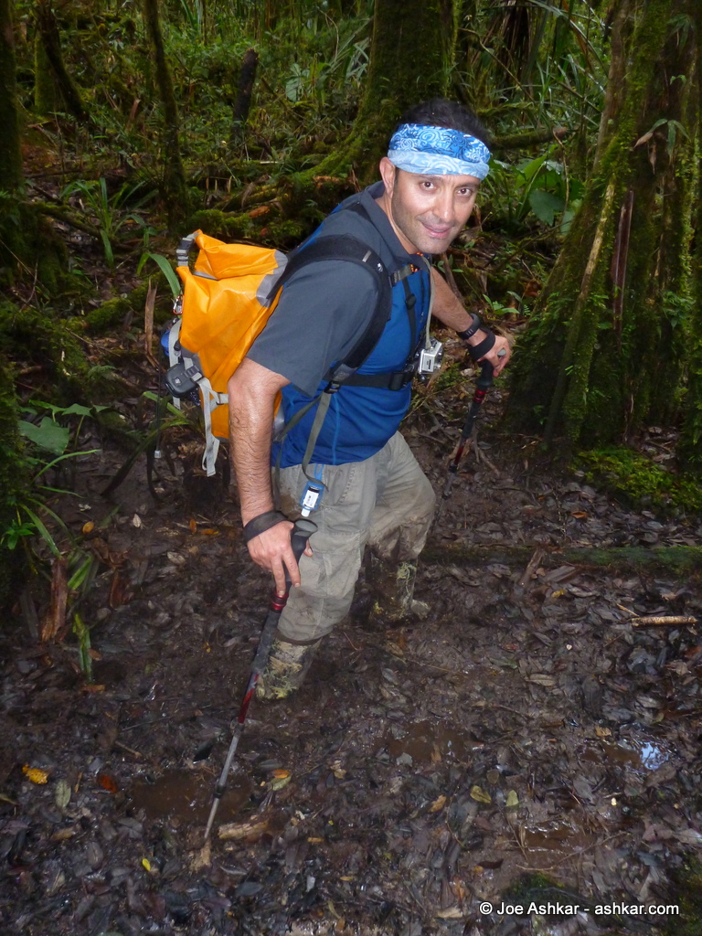 Slogging through a Mud Pool.