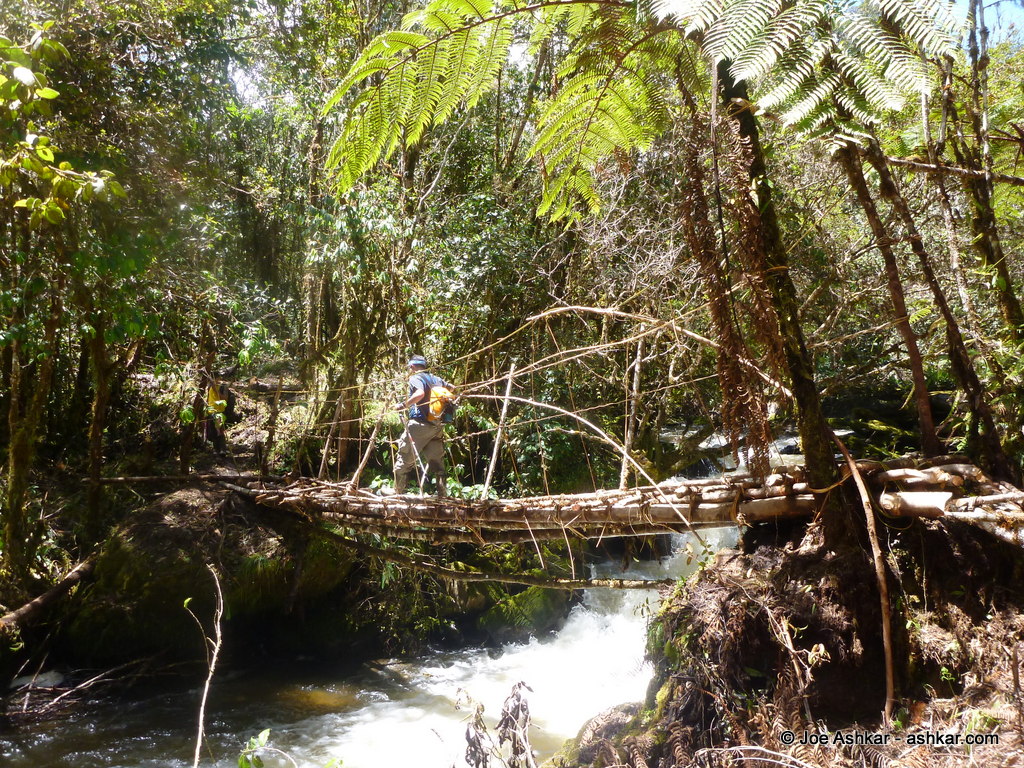 Raging Rivers and slippery bridges in the Papua Jungle.