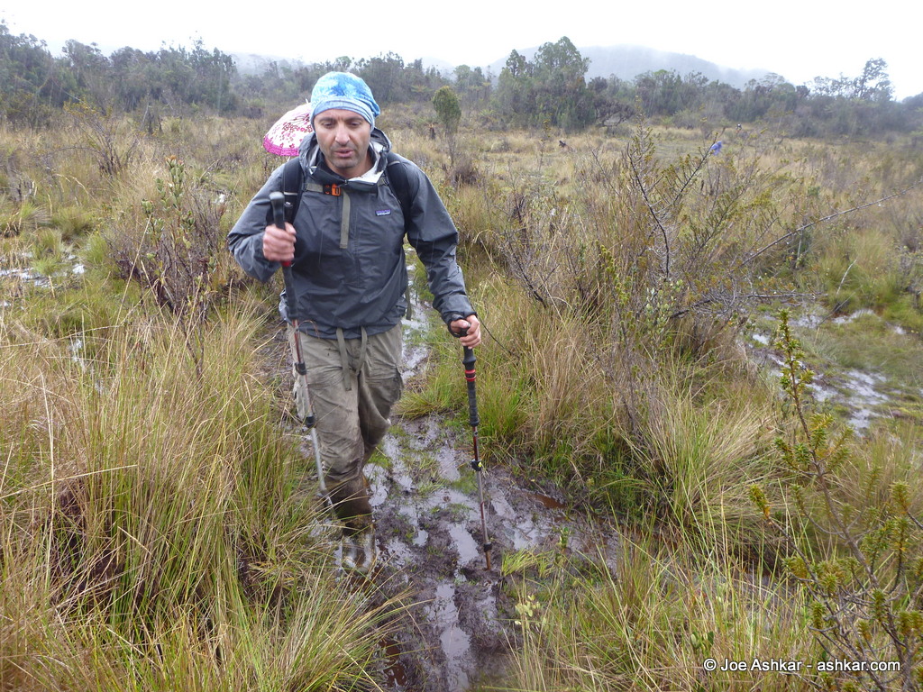 Crossing the muddy swamps on the way to Carstensz.
